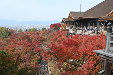 Obraz premium 秋の京都 清水寺の紅葉の風景