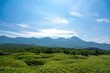 Fototapeta premium 北海道 夏の知床連山