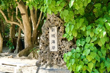 Stone signboard with the words "Aragusuku Beach"