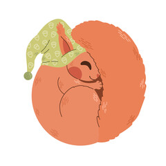 Baby squirrel sleeping in a nightcap kids vector