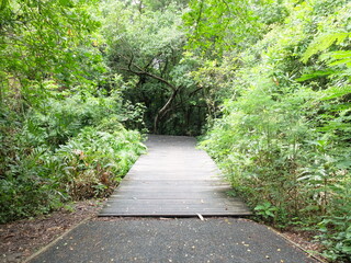 path in the park of Sri Nakhon Park, Bang Kachao, Thailand.