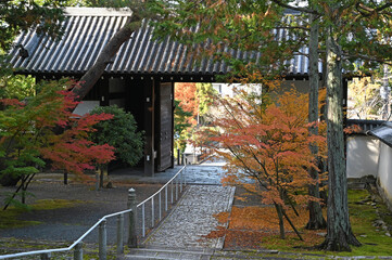 秋の京都　知恩院の紅葉の風景