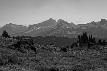 Mountain landscape at Mt. Rainier National Park, Washington.