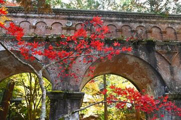 秋の京都　南禅寺の水道橋の紅葉