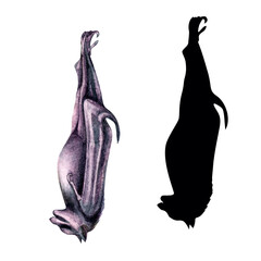 Bat 6 with shadow from family of Halloween bats. Hand-painted in watercolor. The elements are isolated on a white background.