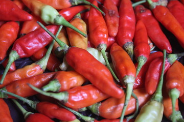 many groups of fresh chili