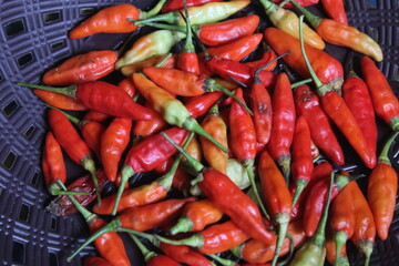 many groups of fresh chili
