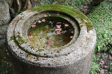 秋の京都　永観堂禅林寺の紅葉