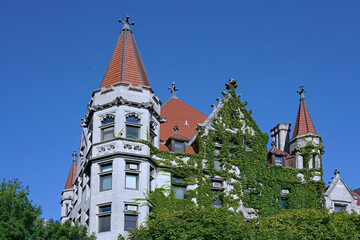 Close-up view of ivy covered college building with ornate gothic styling
