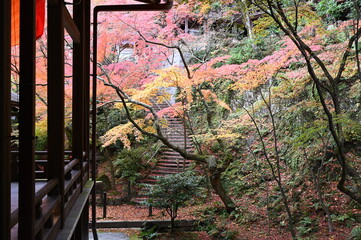 秋の京都　永観堂禅林寺の紅葉