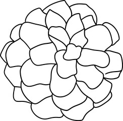 Christmas Pine cone, Digital Vector illustration, Outline design