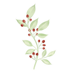 Watercolor floral illustration leaves and branches wreath. branch with red berries