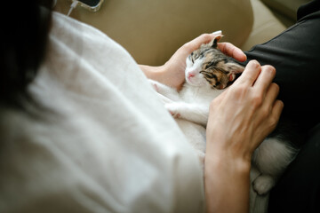 A kitten sleeping in its owner's arms