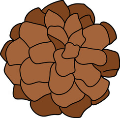 Christmas Pine cone, Digital Vector illustration, Flat color design
