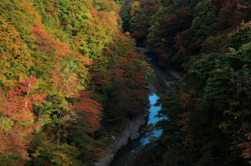 小安峡の紅葉