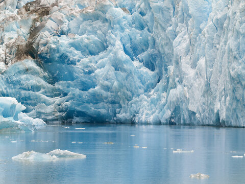 Sea ice and and glacier of Tracey Arm Alaska