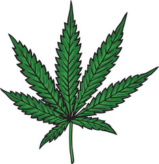 Cannabis Marijuana Weed Leaf and Buds Hand drawn Cartoon Design Illustration Isolated