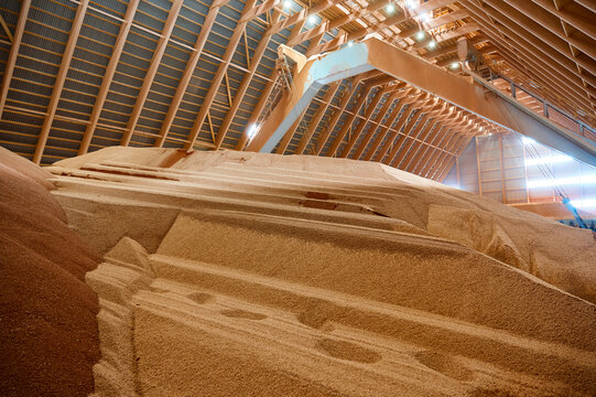 Large heap of potassium fertilizers in plant storehouse