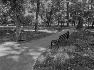 Fototapeta jesień  park Kraków obraz