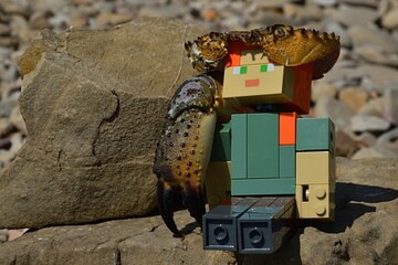 Fototapeta premium LEGO Minecraft large figure of Alex with large dried crab cephalothorax on head as helmet and crab arm and claw on the right arm, standing on rock on pebble beach, sunbathing on summer daylight sun.