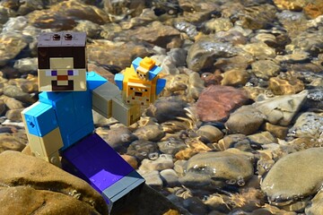 Fototapeta premium LEGO Minecraft large figure of Steve sitting next to rock in shallow water with pebbles, large and small puffer fish in his left hand, summer daylight sunshine.