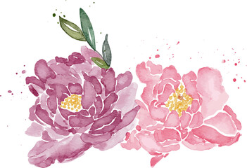 Watercolor peony flowers illustration