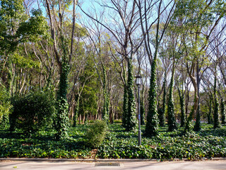 View of Osaka Castle Park