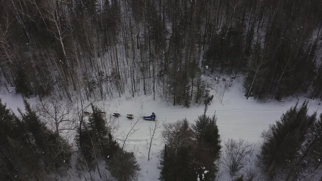 Winter Dog Sledding in Northern Minnesota, USA - aerial drone video