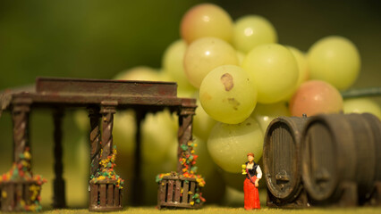 Winzer, Weinanbau, Wein, Weinberge