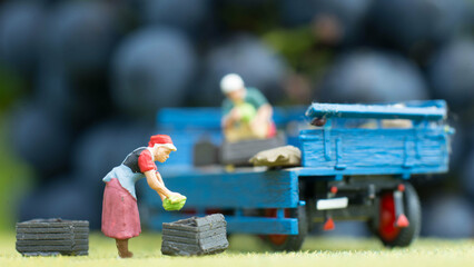 Winzer, Weinanbau, Wein, Weinberge