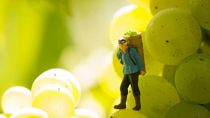 Winzer, Weinanbau, Wein, Weinberge