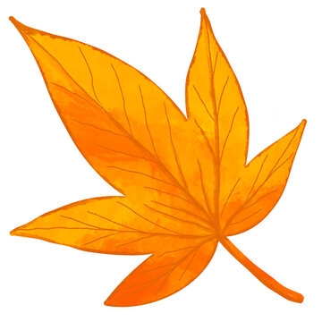 Fall Leaf Clip Art Png