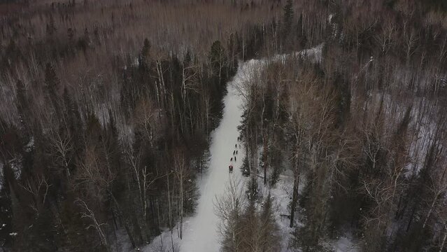 Winter Dog Sledding in Northern Minnesota, USA - aerial drone video