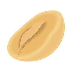 macadamia nut icon