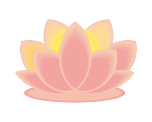 flower lotus light