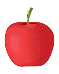 apple fruit realistic