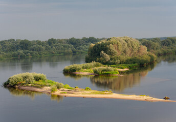 Fototapeta na wymiar Summer. Morning light. A bend in a large river, an island, a sandbank. Forest and bush