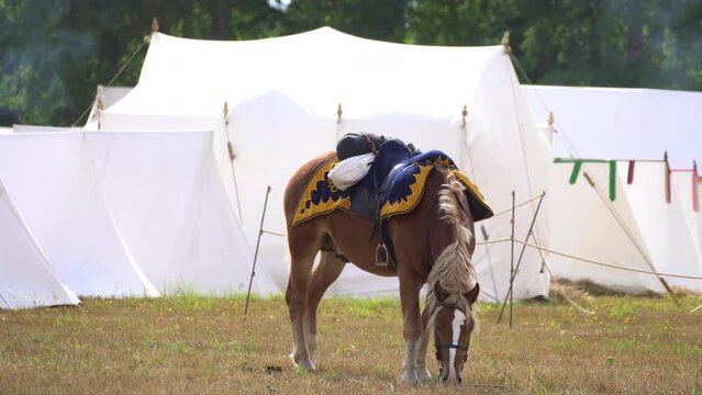 Napoleon's army on the march