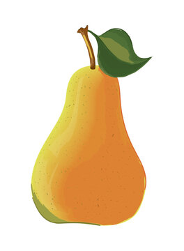 pear fruit realistic
