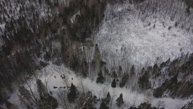 Winter Dog Sledding in Northern Minnesota, USA - aerial drone video