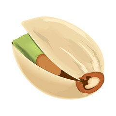 pistachio icon flat