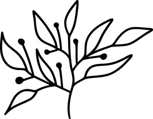 botanical wildflower line art