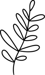 botanical wildflower line art