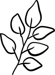 botanical wildflower line art