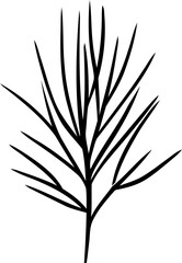 botanical wildflower line art