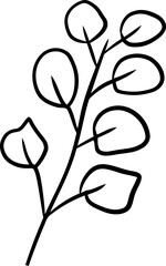 botanical wildflower line art
