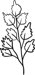 Fototapeta premium botanical wildflower line art