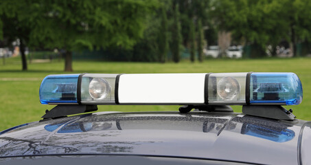blue flashing of the siren of the police car during a check in the public park