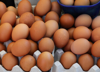 many fresh fragile chicken eggs for sale in the market