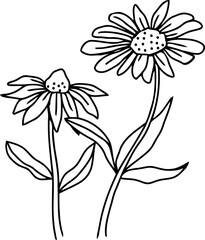  botanical leaf doodle wildflower line art